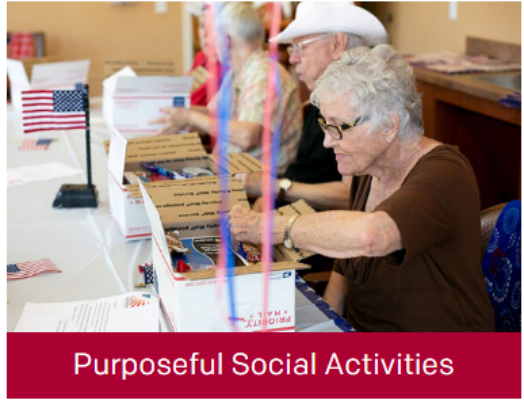 Purposeful Social Activities